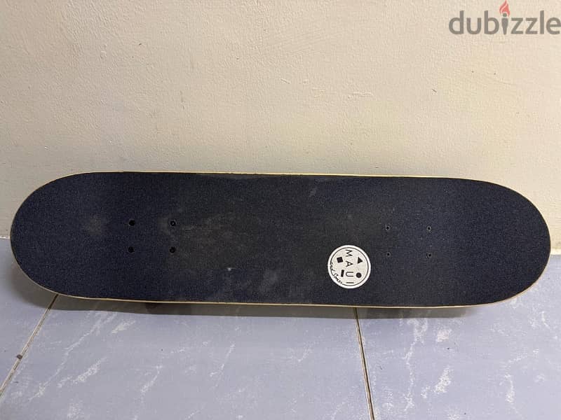 skateboard 1