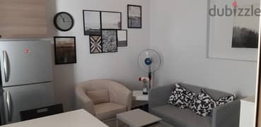 Excellent Cozy Fully Furnished Studio Flat 0