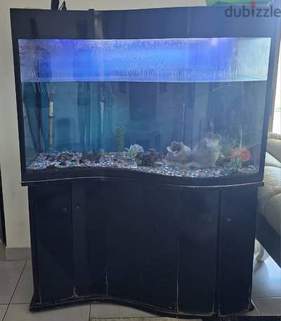 Marine fish tank for sale near me hotsell