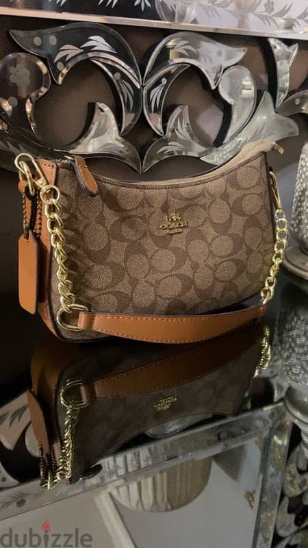 coach bag 1