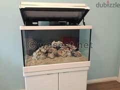 Salt water Marine Aquarium 0