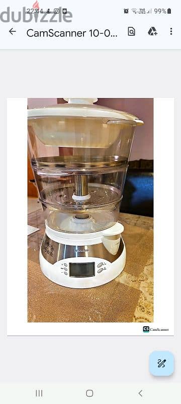 electric food steamer