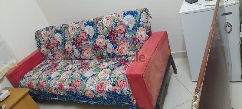 Bed cum sofa with carpet 2