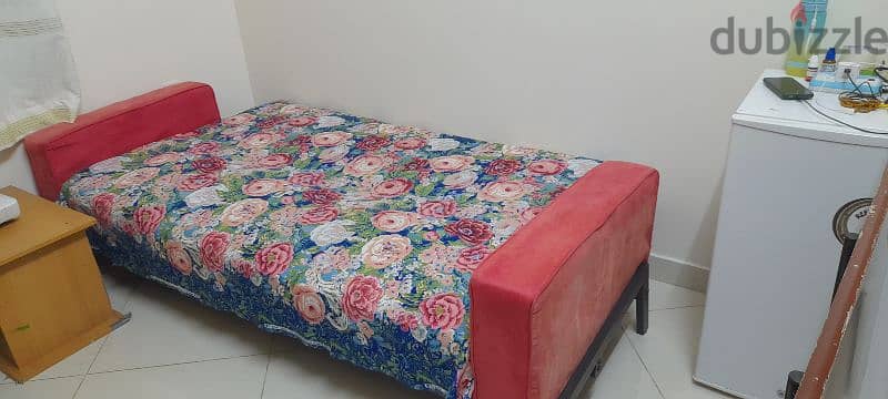 Bed cum sofa with carpet 3