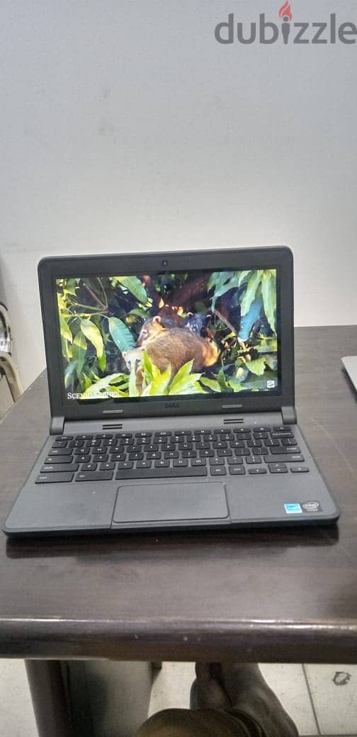 OFFER OFFER DELL TOUCH SCREEN CHROMEBOOK IN OFFER 3