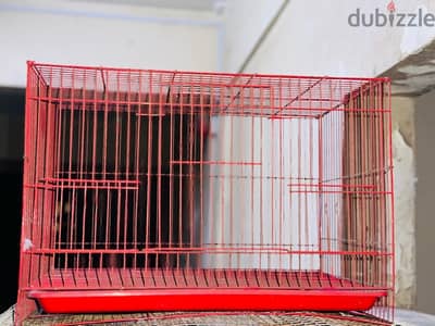 BIRDS CAGES FOR SALE