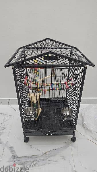 bird cage for sale