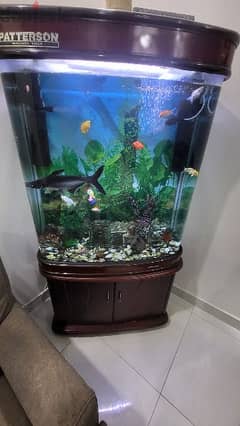 fish tank for sale 0