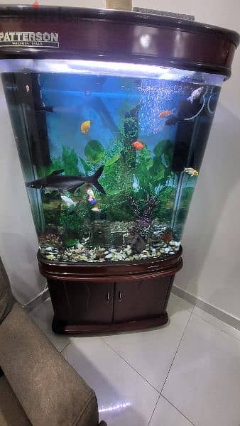 fish tank for sale