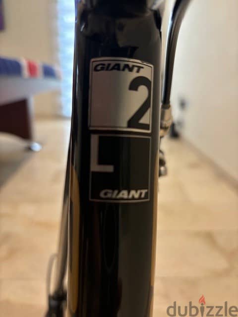 GIANT 2 SCR Mens Road Bike with Stand 3