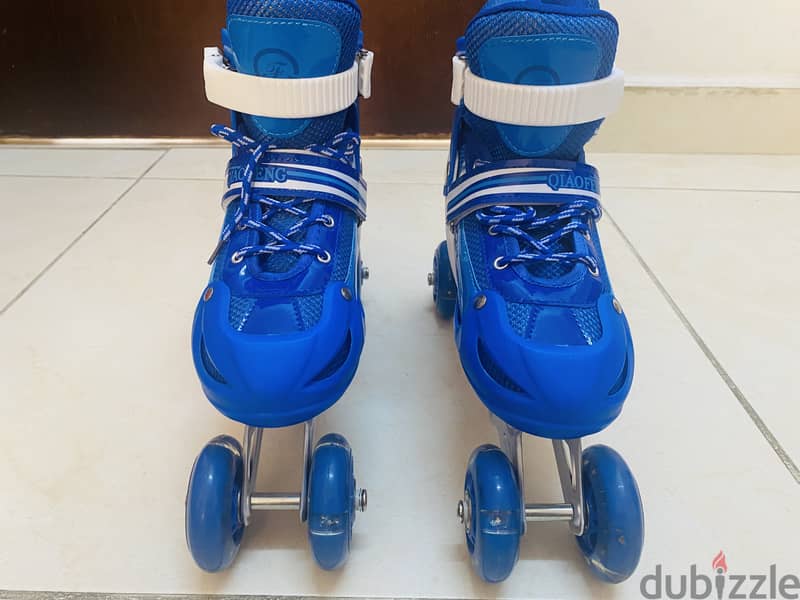 Skating shoes with all accessories 2