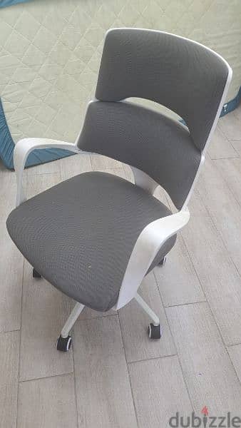 Roating Chair Grey&White 0