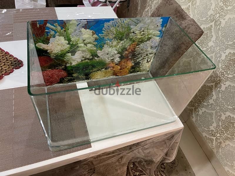 Small Aquarium For Sale (USED) 1