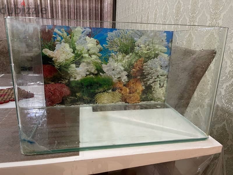 Small Aquarium For Sale (USED) 2