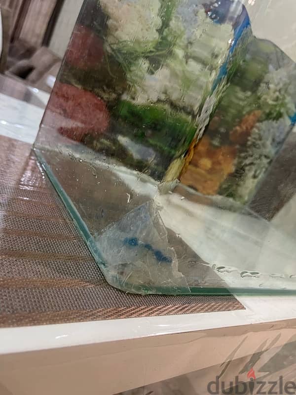 Small Aquarium For Sale (USED) 3