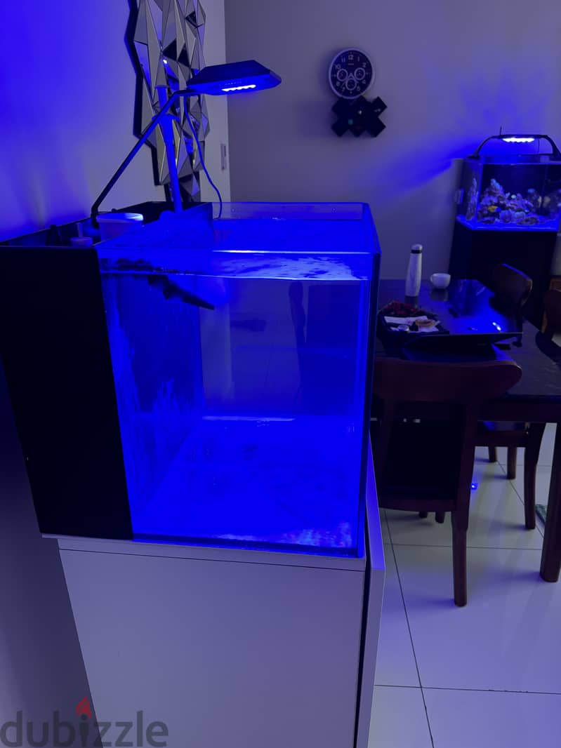 Reef sea water aquarium 0