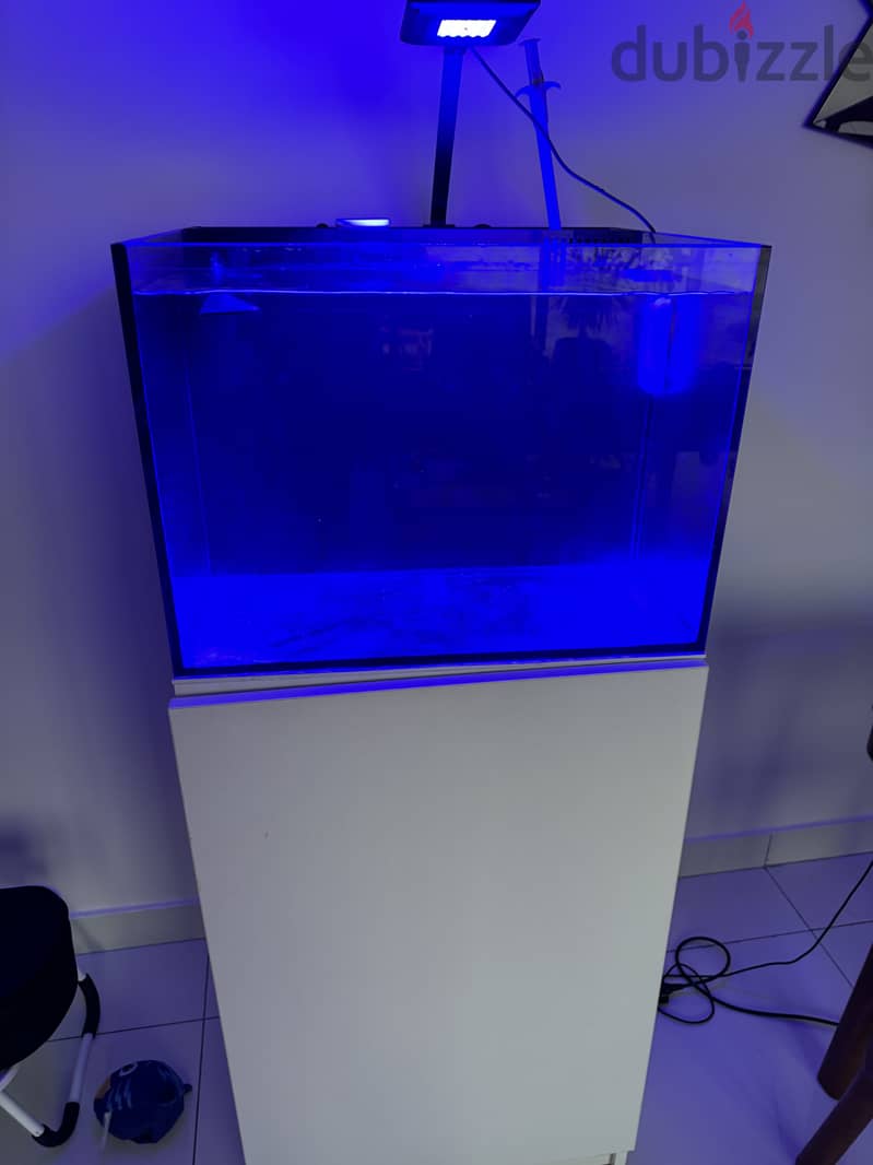 Reef sea water aquarium 1