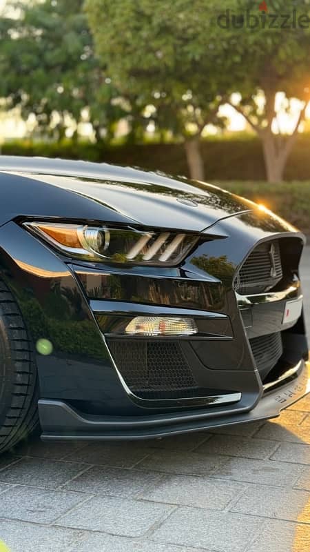 Ford Shelby 2020 5