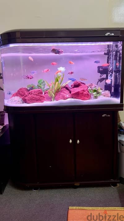 Aquarium  1  meter  with canister