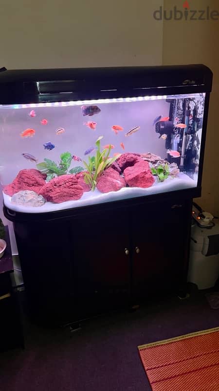 Aquarium  1  meter  with canister 1