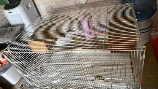 LARGE BIRD CAGE WITH SMALL CAGE FOR 5.000 BHD ONLY