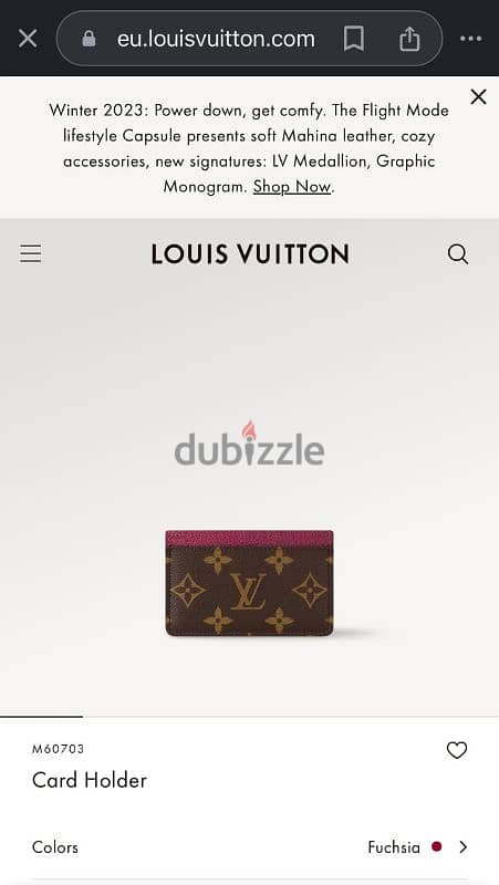 LOUIS VUITTON CARD HOLDER 5