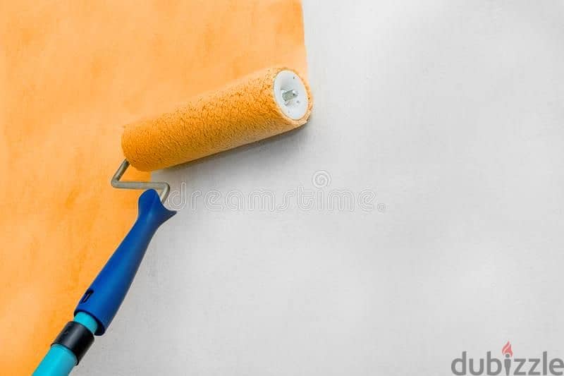 paint plumber Electrician plumbing all work maintenance services 3