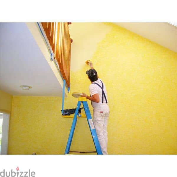 paint plumber Electrician plumbing all work maintenance services 4