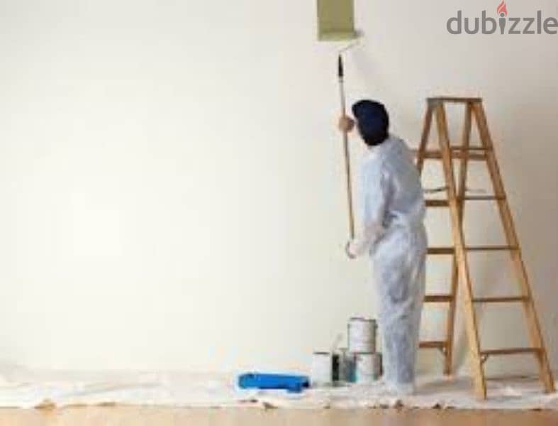 paint plumber Electrician plumbing all work maintenance services 5