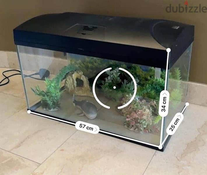 FISH AQUARIUM 0