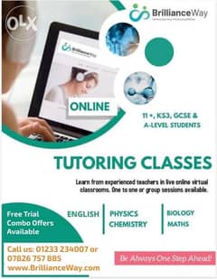 Experienced Biology Teacher for Virtual online class based on UK 0