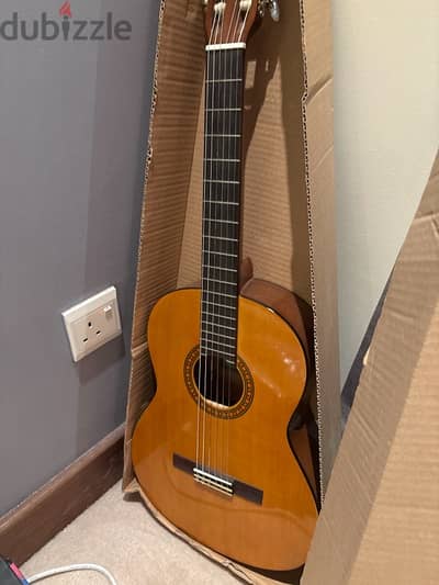 Acoustic Guitar