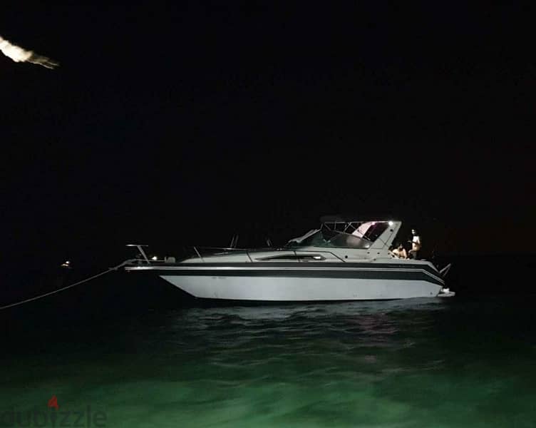 For Sale: Sea Ray Baby Yacht 1990 / 29.8 ft 4