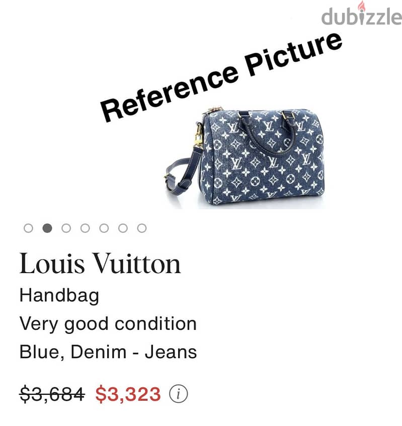 LOUIS VUITTON BAG (MASTER COPY) (NEW) 5