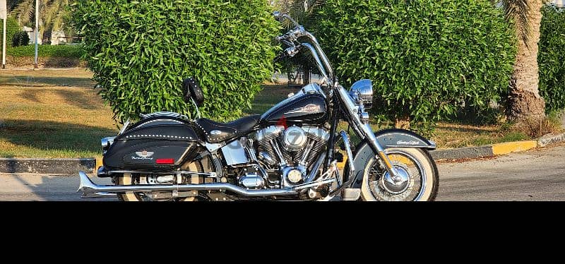 Harley Davidson Heritage Softtail Classic 12