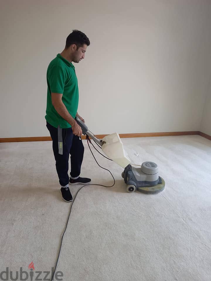 CARPET /SOFA / CURTAIN CLEANING and DEEP CLEANING SERVICES 2