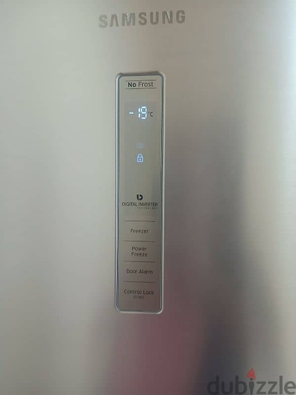 Samsung Upright Freezer 306 Litres 1