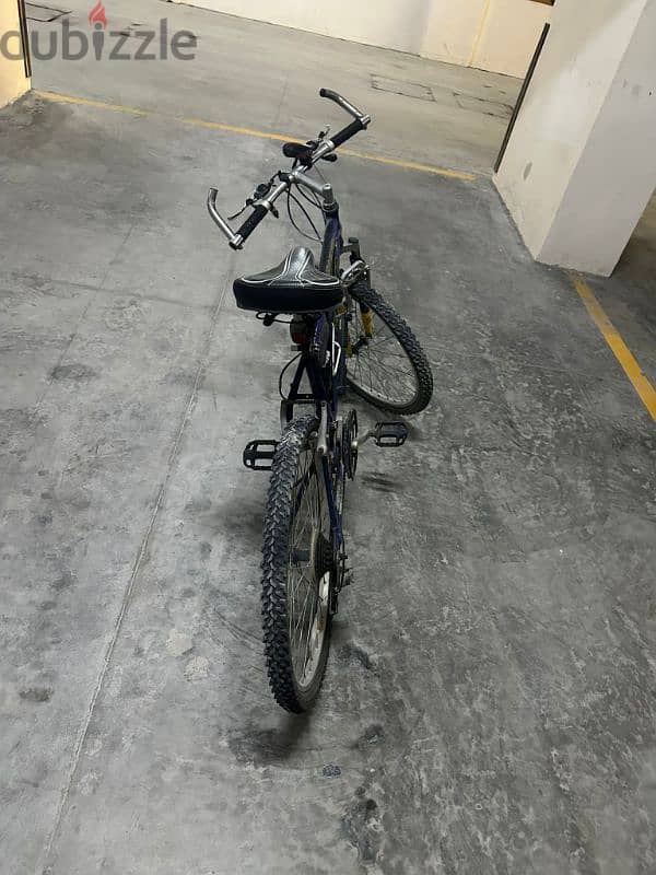 bicycle 2