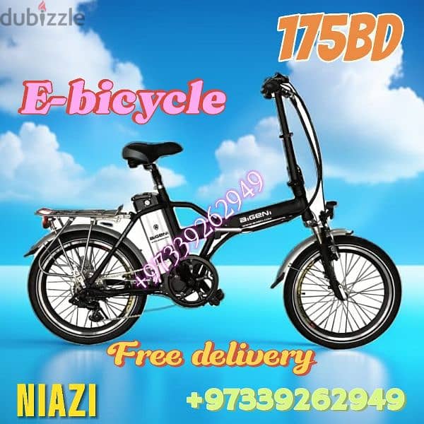 e- bicycles new2024 model 2