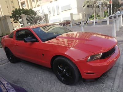 MUSTANG 2010 Lowest Price 38858055