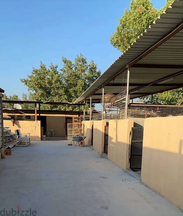 Farm - horse stable - Saar- low rent 0