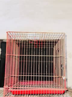 BIRDS CAGES AVAILABLE 0