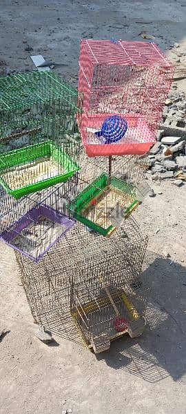 cage  for sale