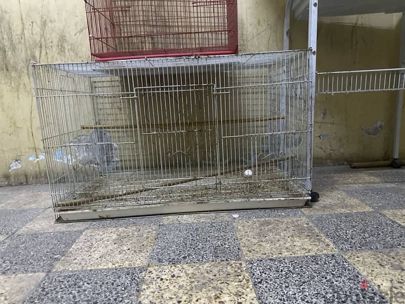 BIRDS CAGES FOR SALE 2