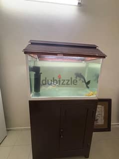 Aquarium with cup board for sale 0