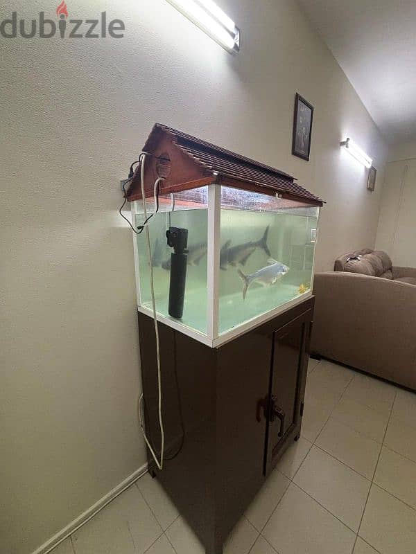 Aquarium with cup board for sale 1