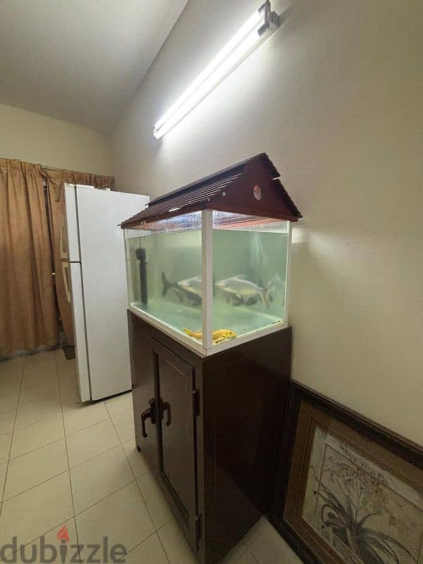 Aquarium with cup board for sale 2