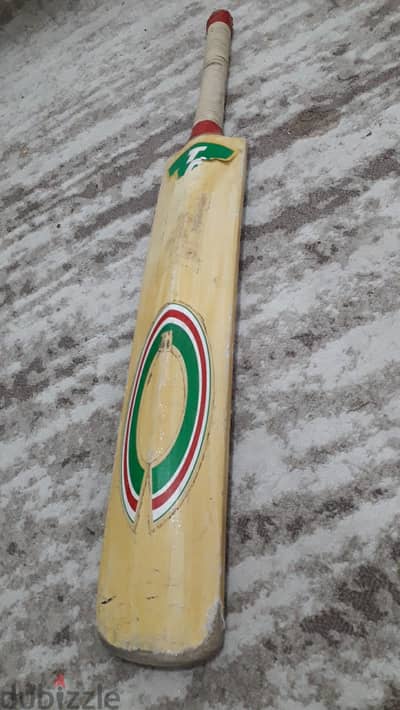 Professional cricket bat