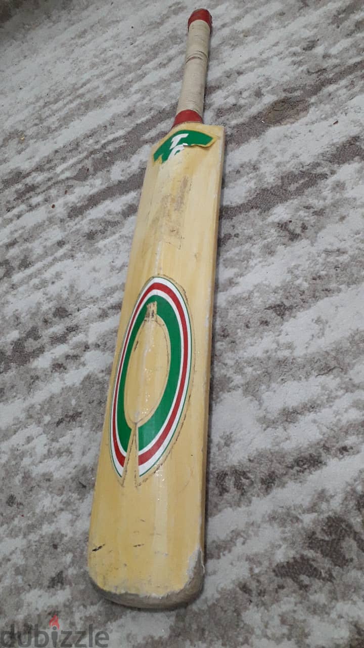 Professional cricket bat 0