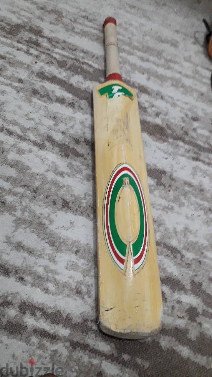 Professional cricket bat 2